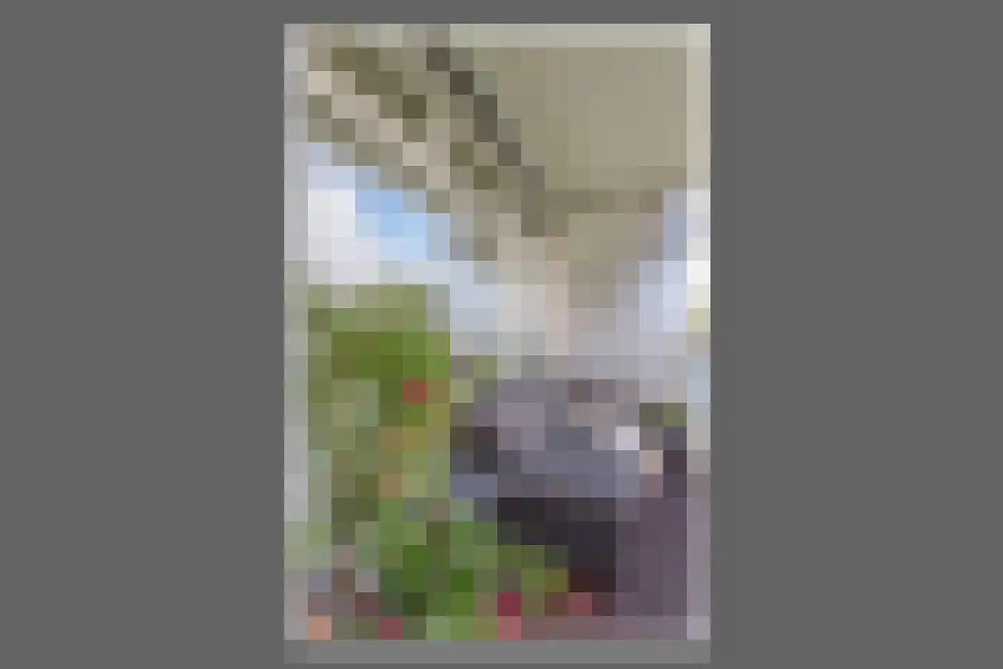 Burgemeester Hogguerstraat 497 Amsterdam thumbnail 18