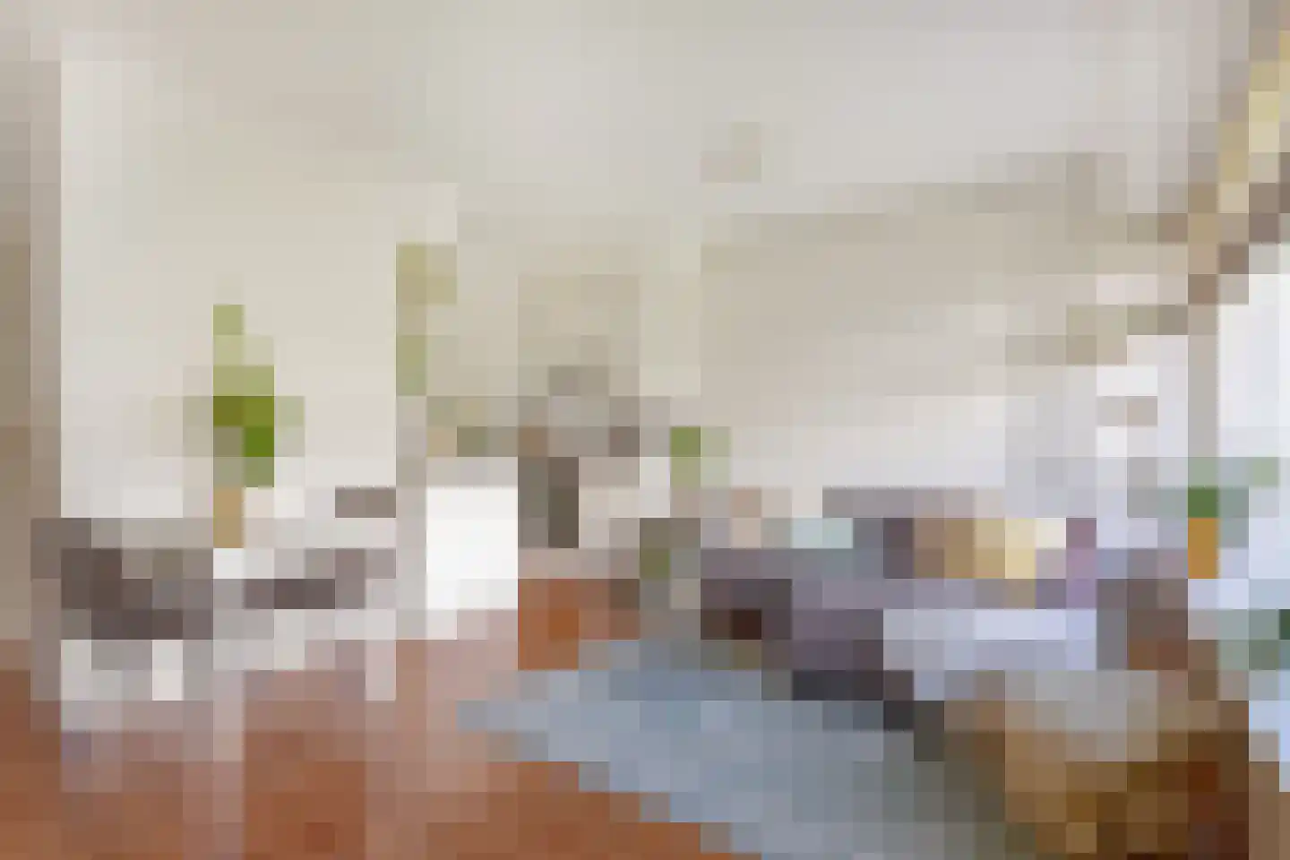 Burgemeester Hogguerstraat 497 Amsterdam thumbnail 4
