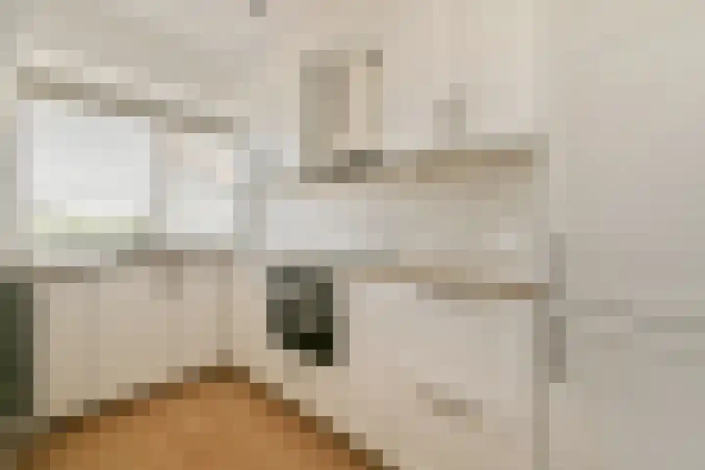 Burgemeester Hogguerstraat 541 Amsterdam thumbnail 11