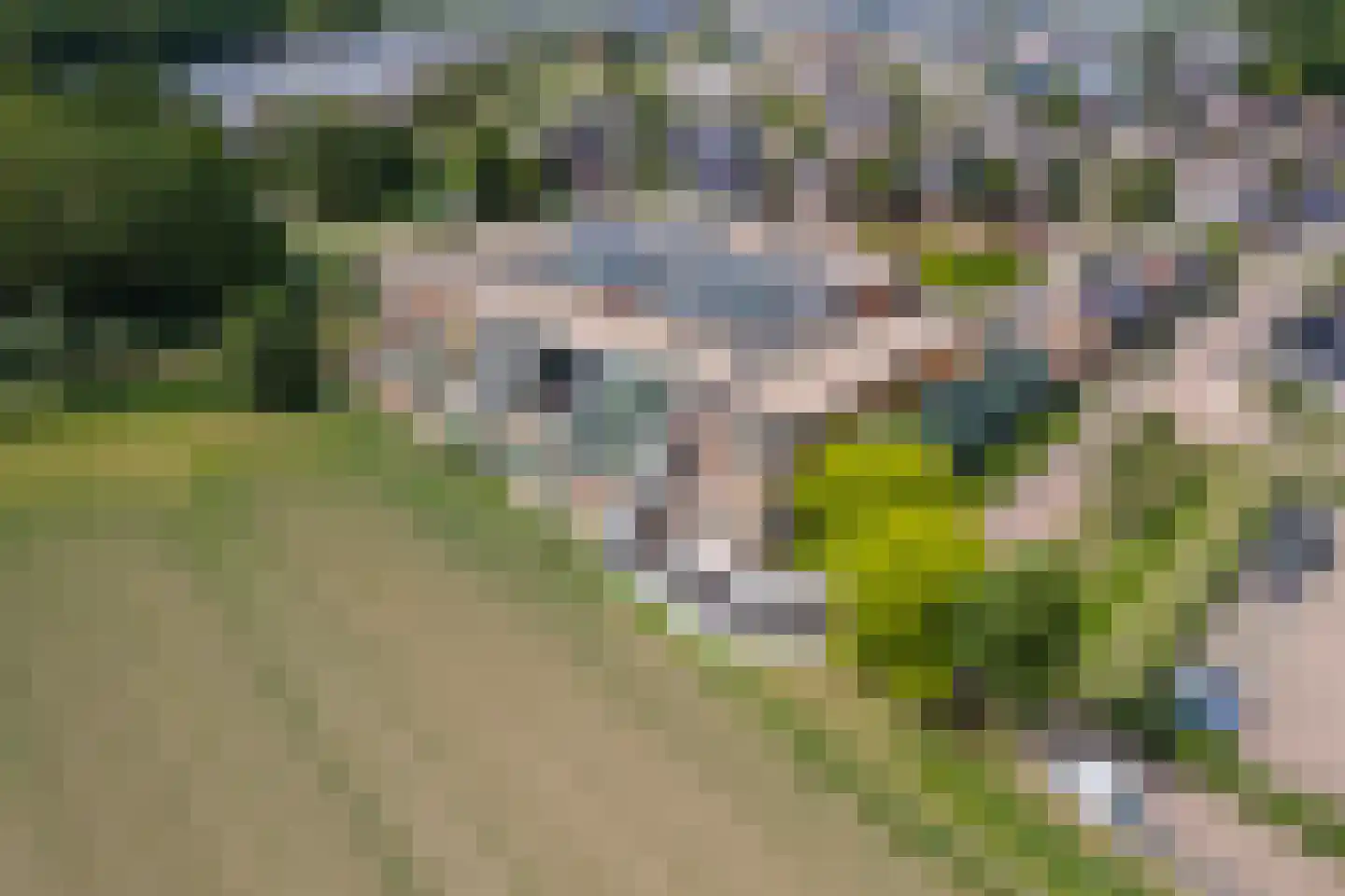 Burgemeester Hommesstraat 16 Beusichem thumbnail 39