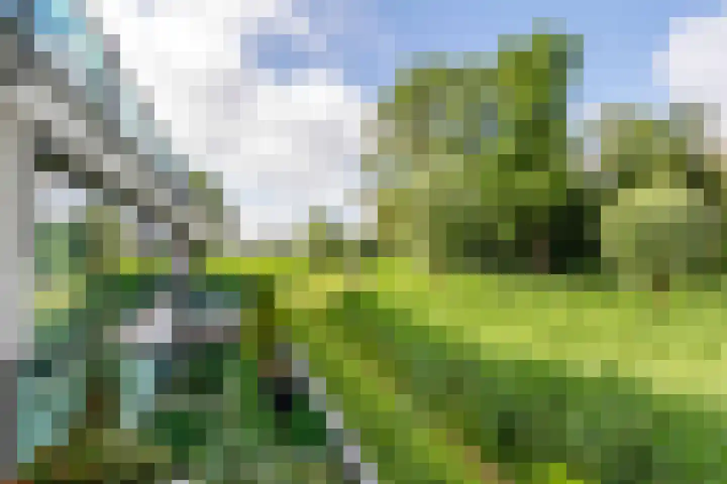Burgemeester Hommesstraat 16 Beusichem thumbnail 4