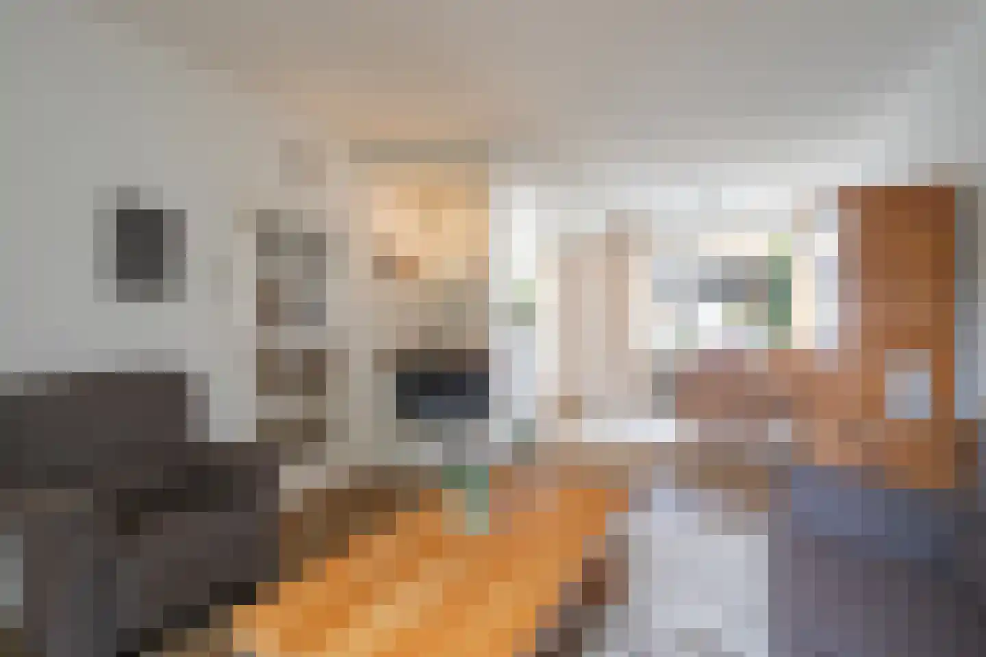 Burgemeester Honéestraat 2 Meerssen thumbnail 5