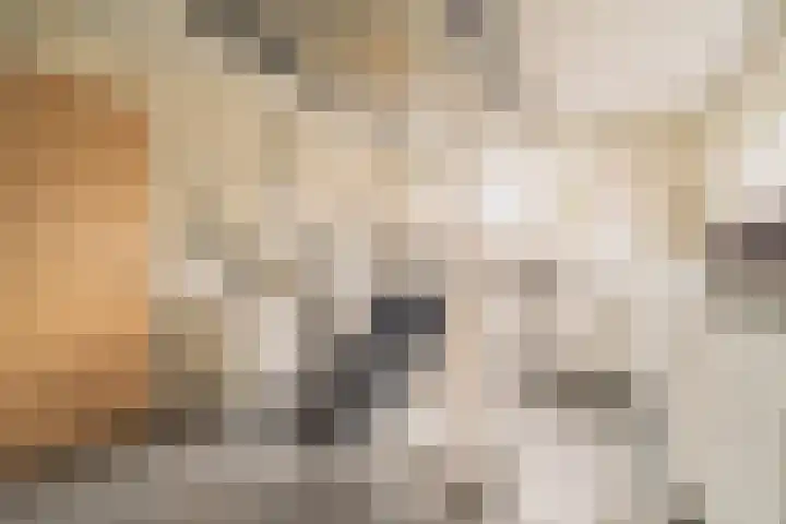 Burgemeester Honijkstr 4 Venhuizen thumbnail 10