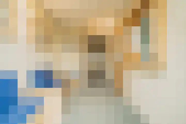 Burgemeester Honijkstr 4 Venhuizen thumbnail 18