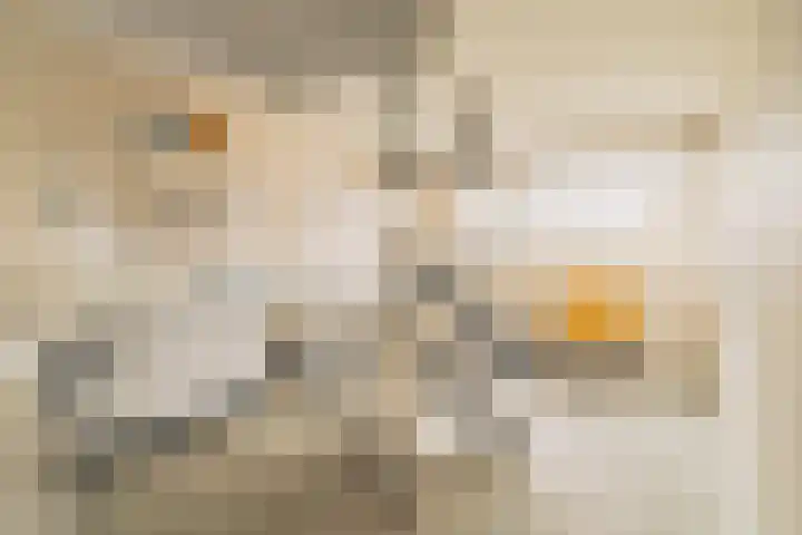 Burgemeester Honijkstr 4 Venhuizen thumbnail 20
