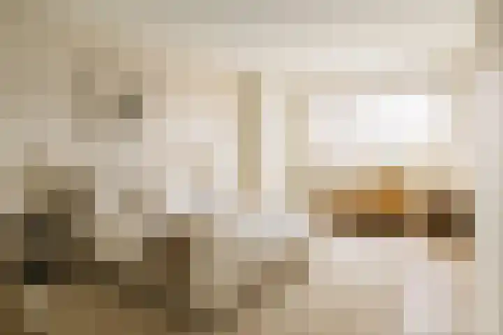 Burgemeester Honijkstr 4 Venhuizen thumbnail 21