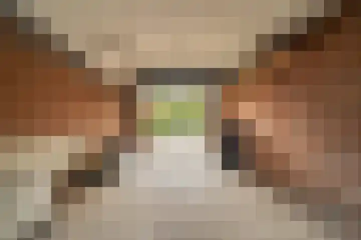Burgemeester Honijkstr 4 Venhuizen thumbnail 35
