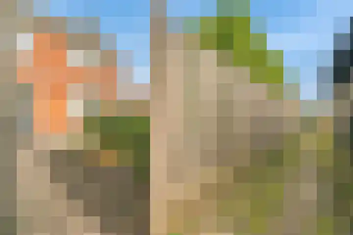 Burgemeester Honijkstr 4 Venhuizen thumbnail 38