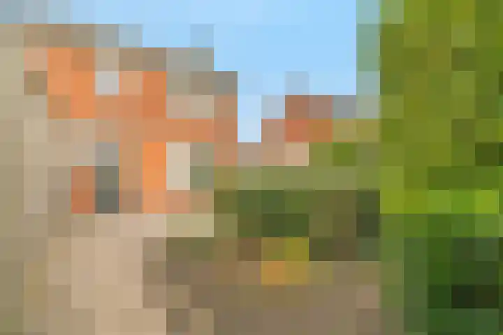 Burgemeester Honijkstr 4 Venhuizen thumbnail 4