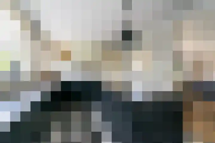 Burgemeester Honijkstr 41 Venhuizen thumbnail 12