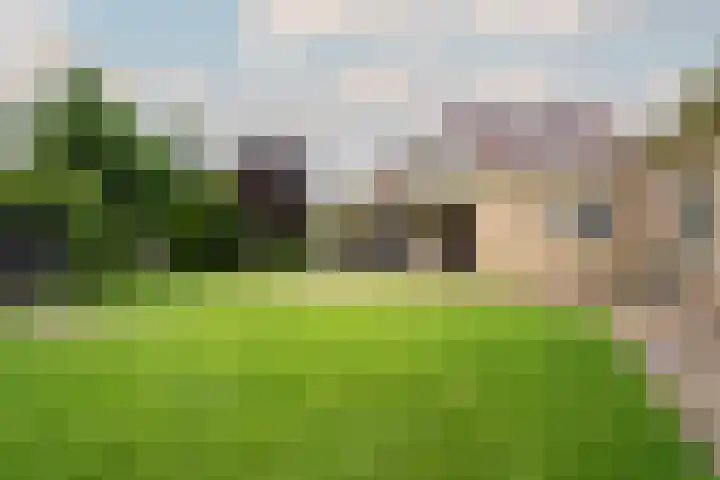 Burgemeester Honijkstr 41 Venhuizen thumbnail 37