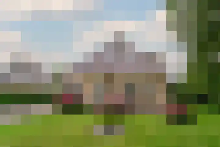 Burgemeester Honijkstr 41 Venhuizen thumbnail 5