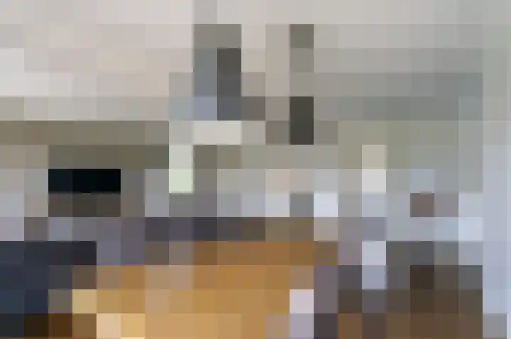 Burgemeester Honijkstr 41 Venhuizen thumbnail 9