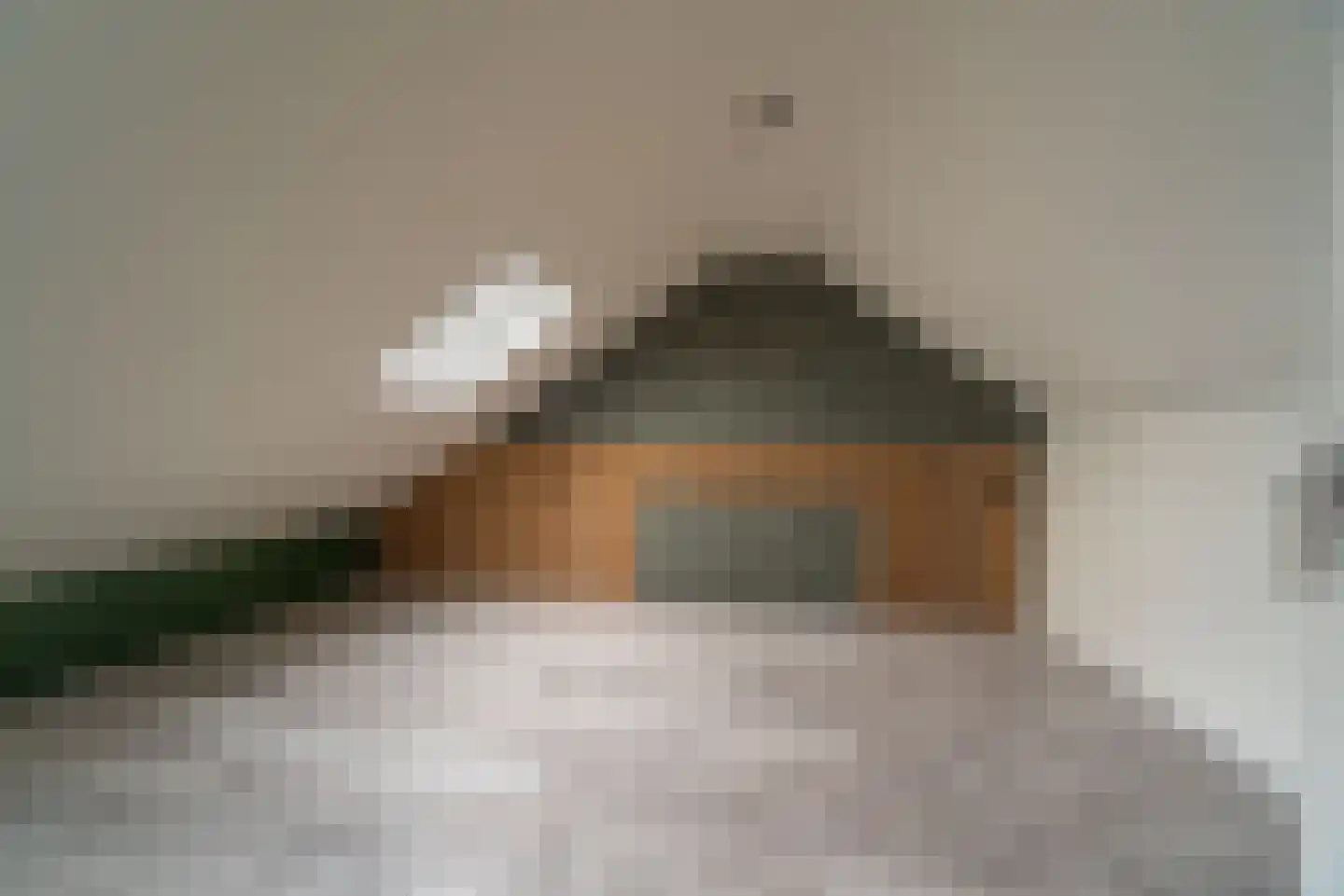 Burgemeester Honijkstr 7 Venhuizen thumbnail 52