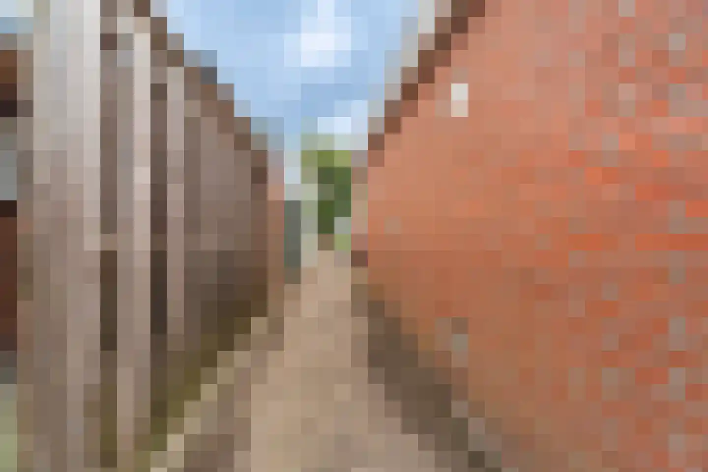 Burgemeester Honijkstr 7 Venhuizen thumbnail 65