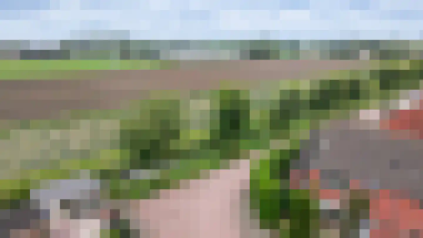 Burgemeester Honijkstr 7 Venhuizen thumbnail 78