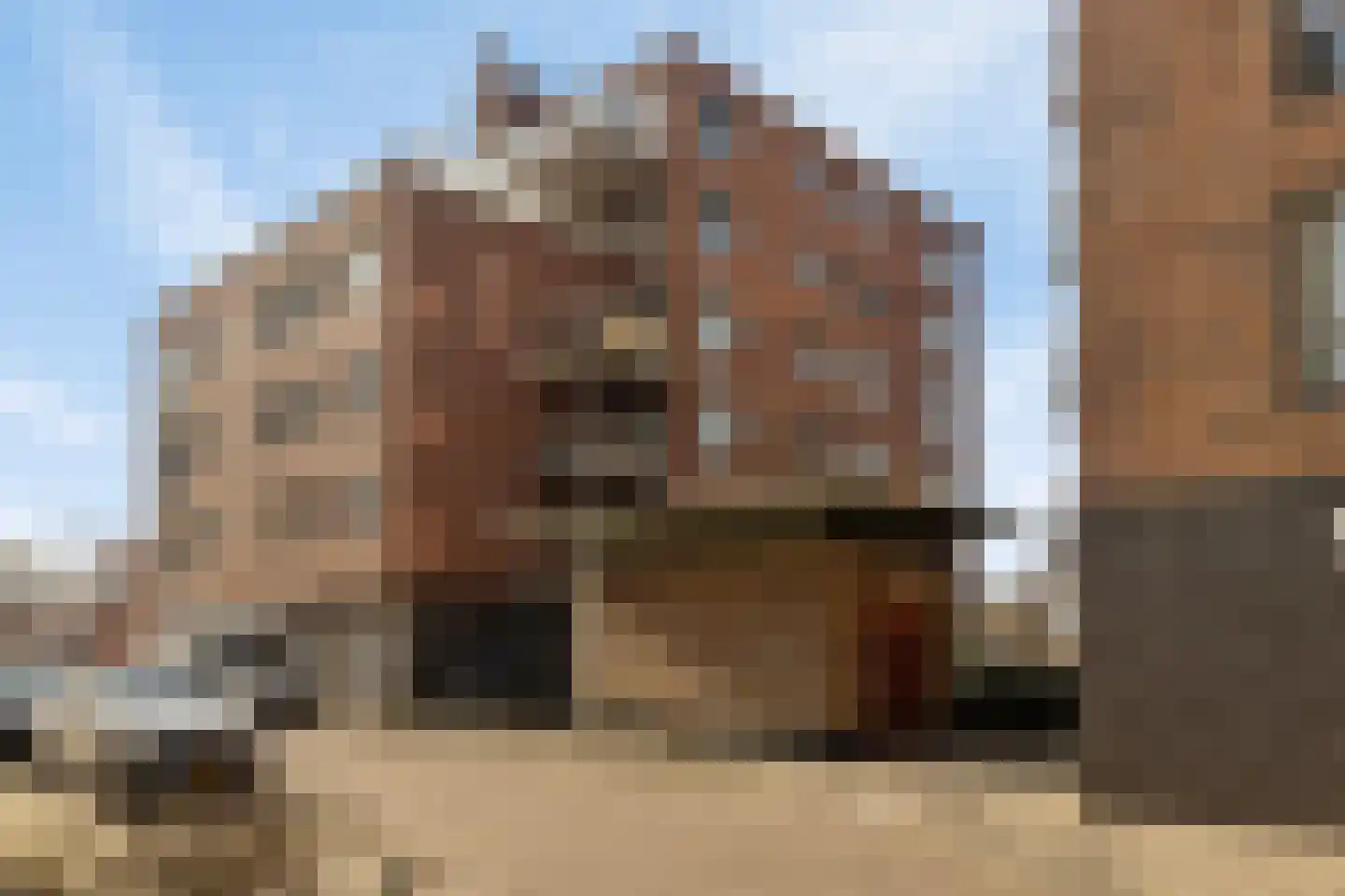 Burgemeester Honnerlage Gretelaan 363 G Schiedam thumbnail 18