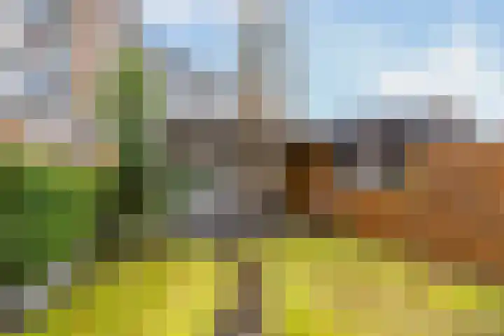 Burgemeester Honnerlage Gretepad 10 Schiedam thumbnail 14