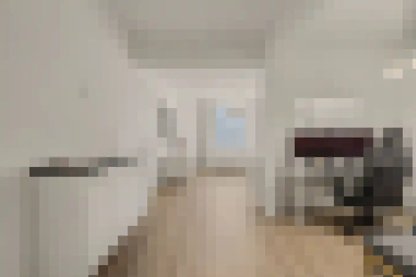 Burgemeester Hooftstraat 5 Den Haag thumbnail 8