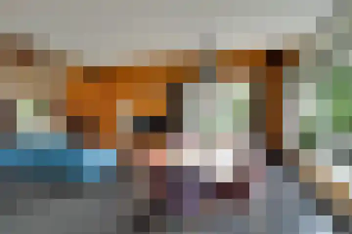 Burgemeester Hoogenboomlaan 11 Hoogwoud thumbnail 10