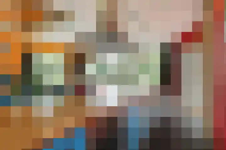 Burgemeester Hoogenboomlaan 11 Hoogwoud thumbnail 17