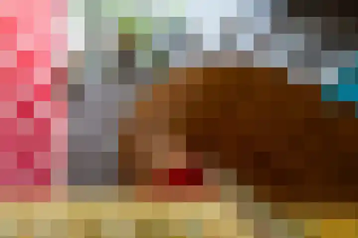 Burgemeester Hoogenboomlaan 11 Hoogwoud thumbnail 33
