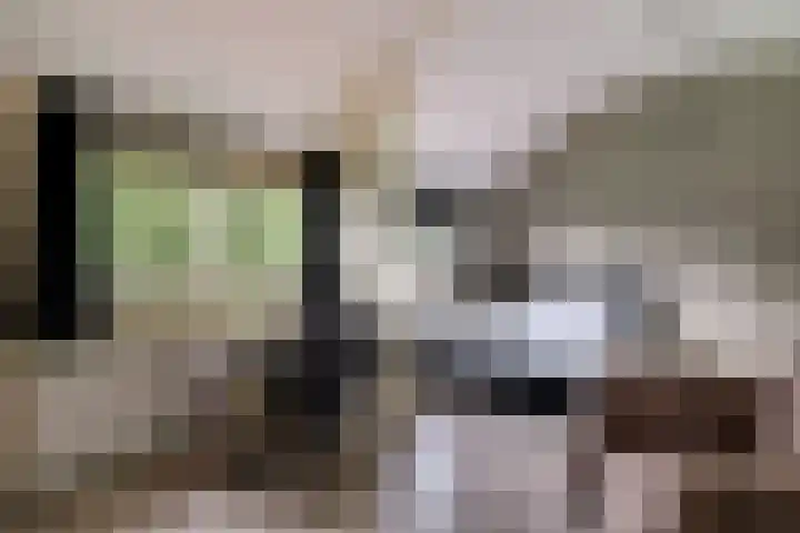Burgemeester Hoogenboomlaan 11 Hoogwoud thumbnail 36
