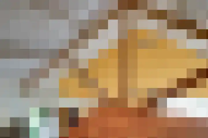 Burgemeester Hoogenboomlaan 11 Hoogwoud thumbnail 51