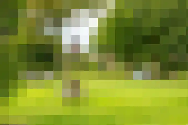 Burgemeester Hoogenboomlaan 11 Hoogwoud thumbnail 52