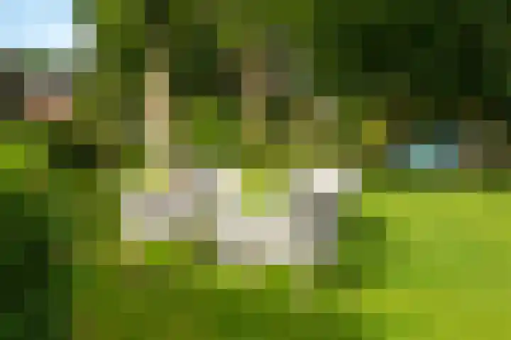 Burgemeester Hoogenboomlaan 11 Hoogwoud thumbnail 53
