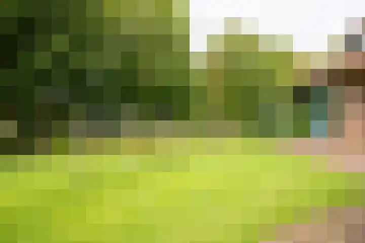Burgemeester Hoogenboomlaan 11 Hoogwoud thumbnail 54