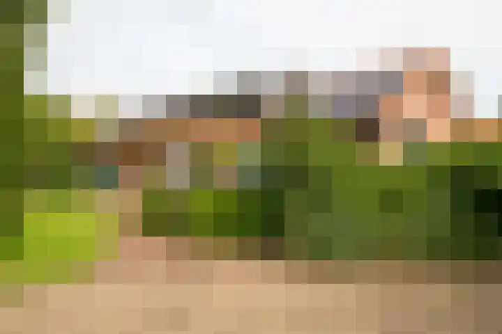 Burgemeester Hoogenboomlaan 11 Hoogwoud thumbnail 57