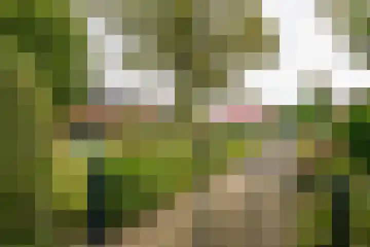 Burgemeester Hoogenboomlaan 11 Hoogwoud thumbnail 60