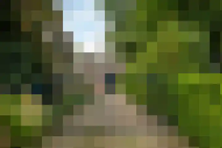 Burgemeester Hoogenboomlaan 11 Hoogwoud thumbnail 61