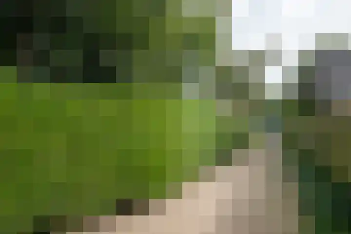 Burgemeester Hoogenboomlaan 11 Hoogwoud thumbnail 62