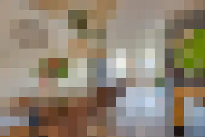 Burgemeester Hoogenboomlaan 29 Hoogwoud thumbnail 16