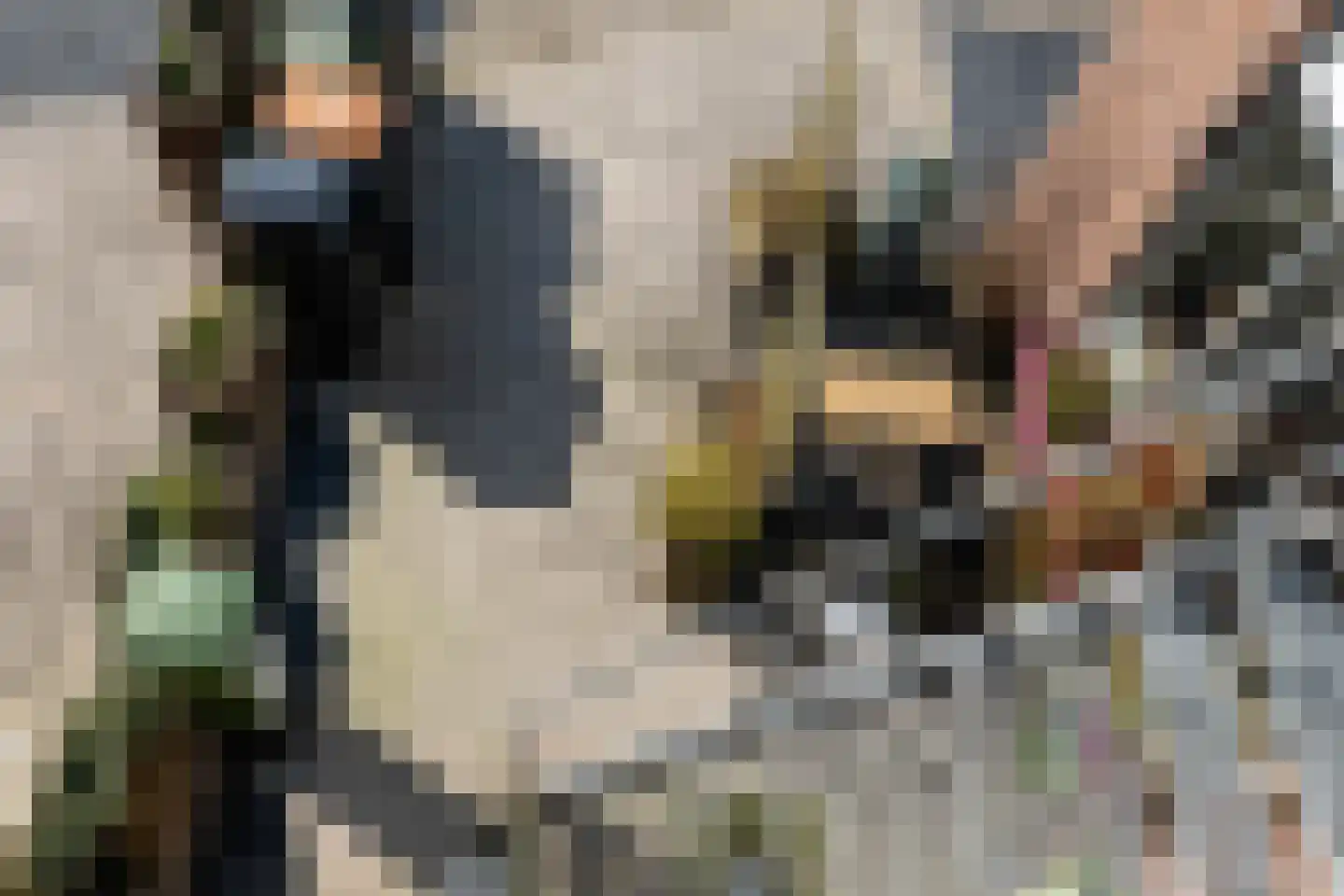 Burgemeester Hoogenboomlaan 68 Hoogwoud thumbnail 37