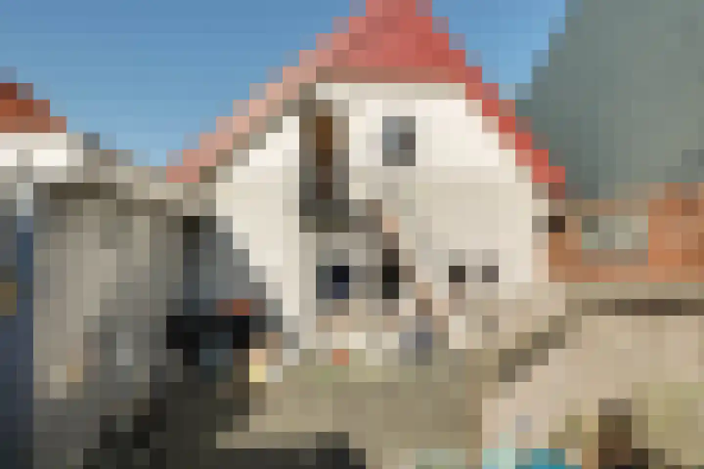 Burgemeester Hoogenboomlaan 68 Hoogwoud thumbnail 58