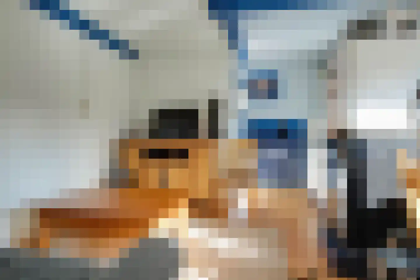 Burgemeester Hoogenboomlaan 68 Hoogwoud thumbnail 60