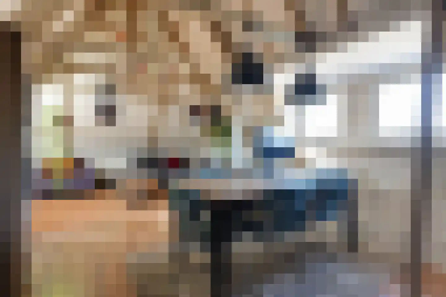 Burgemeester Hoogenboomlaan 68 Hoogwoud thumbnail 68