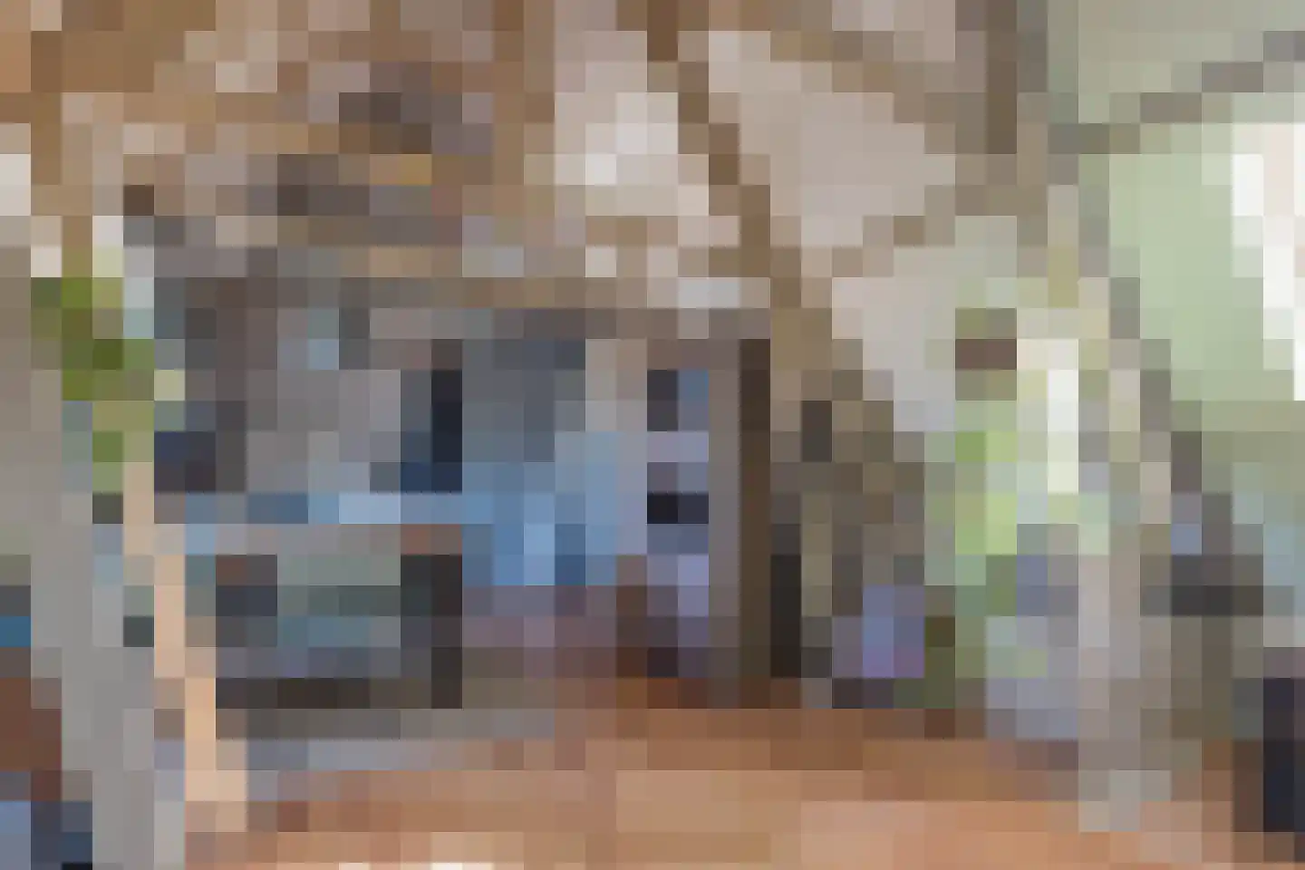 Burgemeester Hoogenboomlaan 68 Hoogwoud thumbnail 70