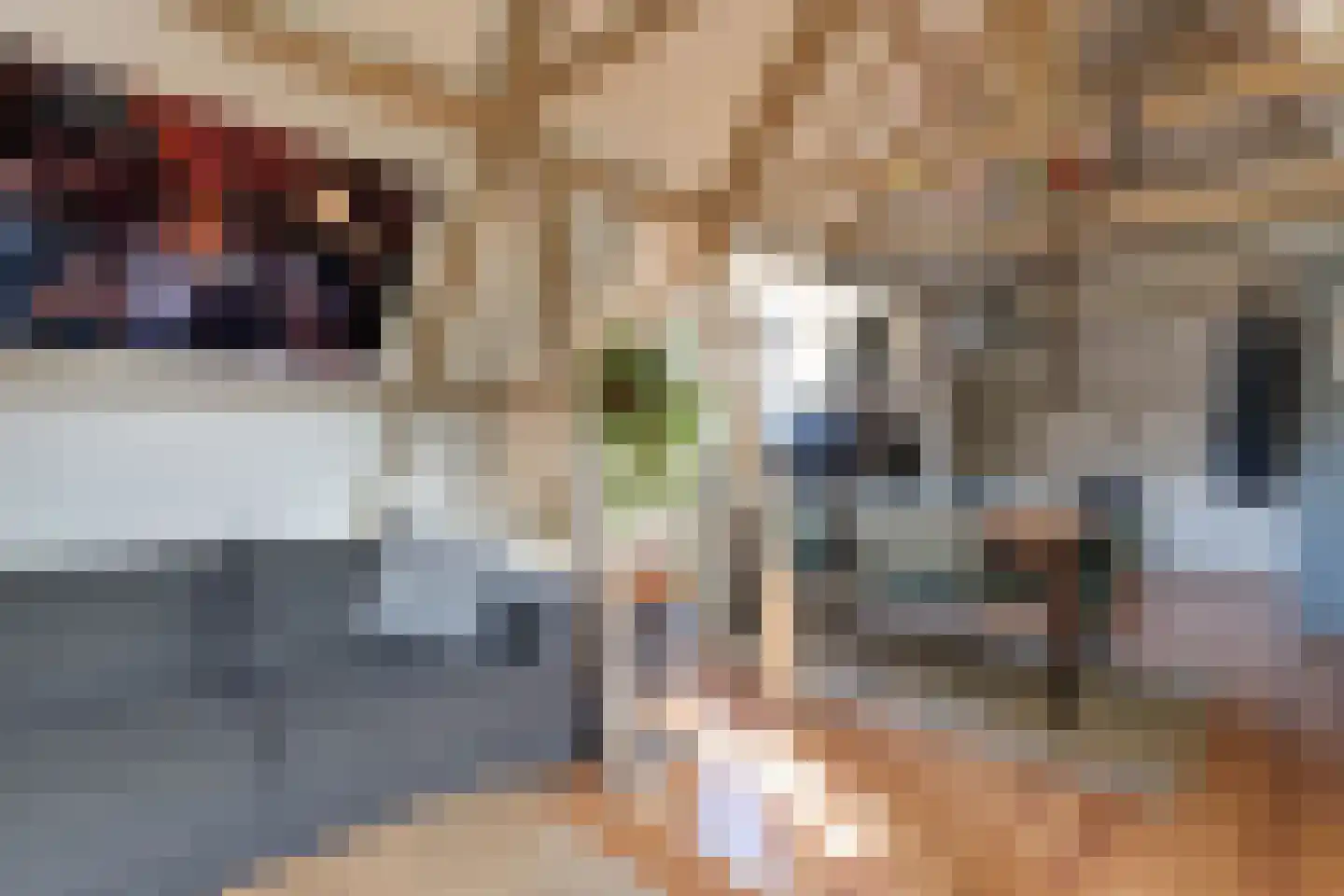 Burgemeester Hoogenboomlaan 68 Hoogwoud thumbnail 72