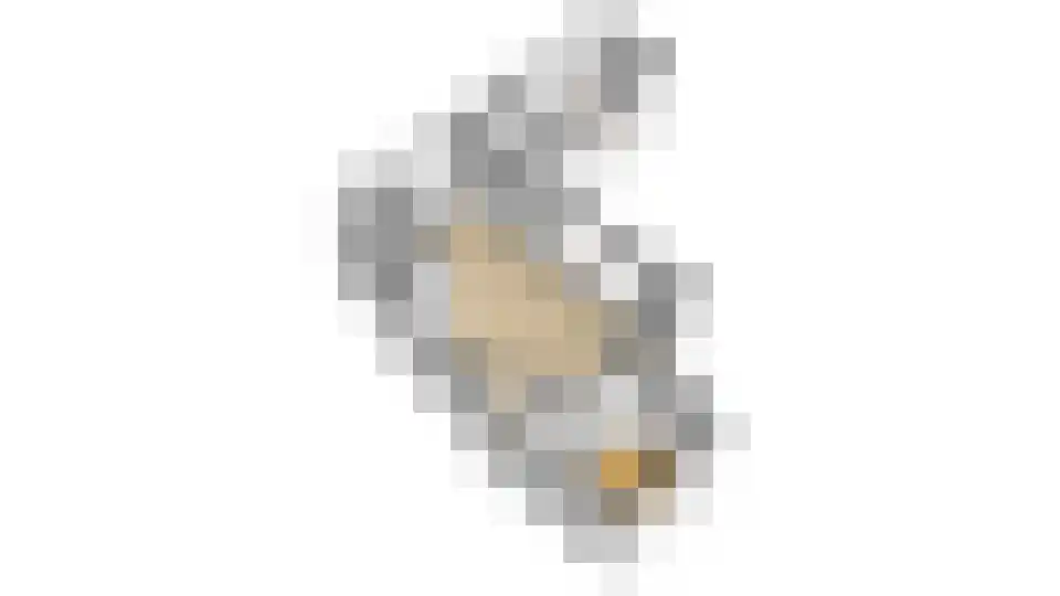 Burgemeester Hoogenboomlaan 68 Hoogwoud thumbnail 98