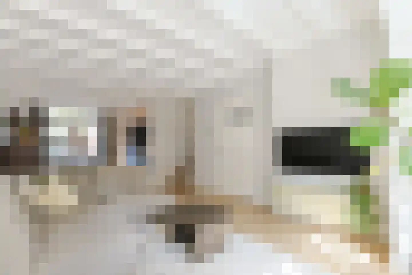 Burgemeester Hoogenboomstraat 13 Zwammerdam thumbnail 12