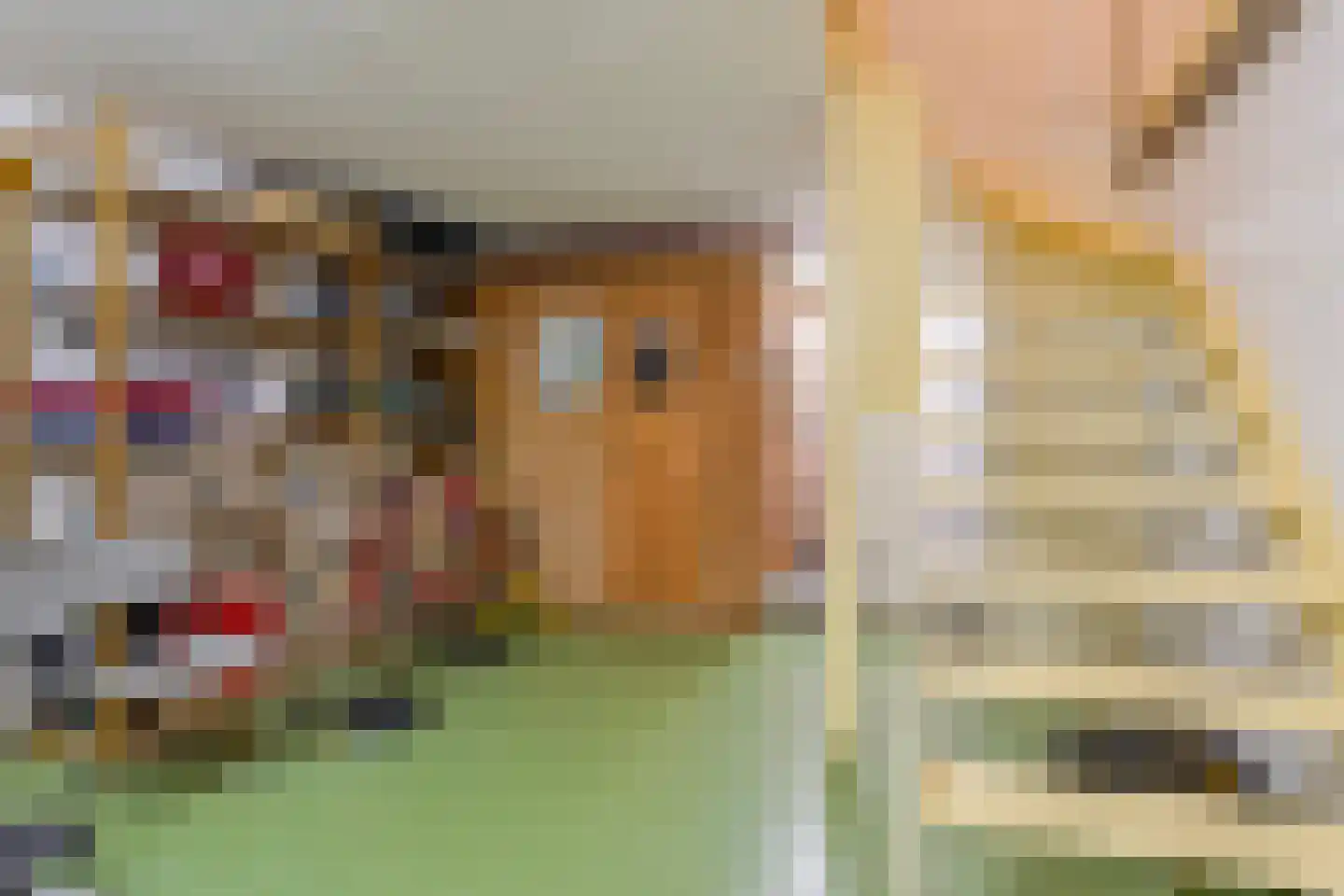 Burgemeester Hoogklimmerstraat 30 Denekamp thumbnail 17