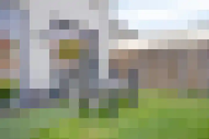 Burgemeester Houbenplein 14 Luyksgestel thumbnail 23