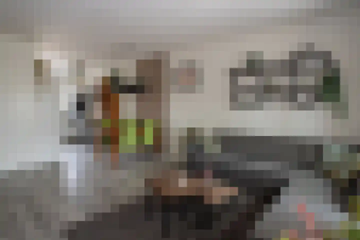 Burgemeester Houbenplein 4 Luyksgestel thumbnail 5