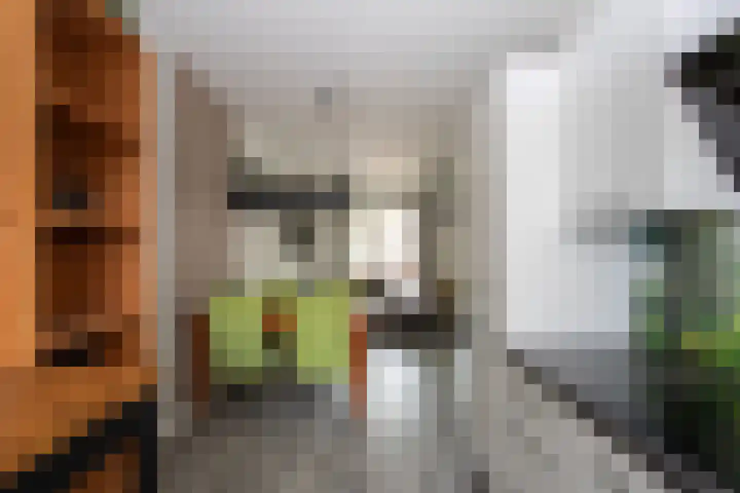 Burgemeester Houbenplein 4 Luyksgestel thumbnail 8