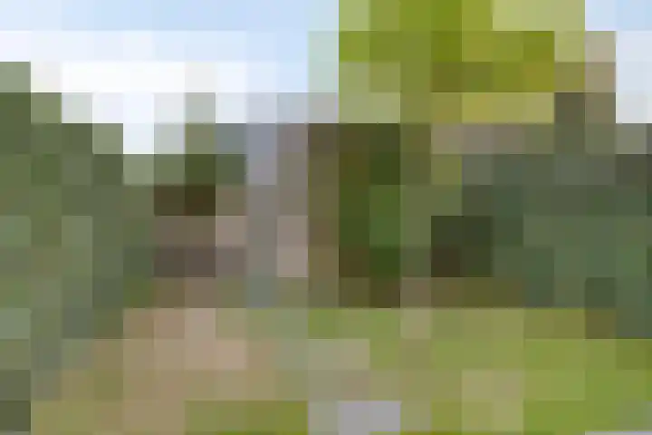 Burgemeester Houbenplein 6 Luyksgestel thumbnail 21