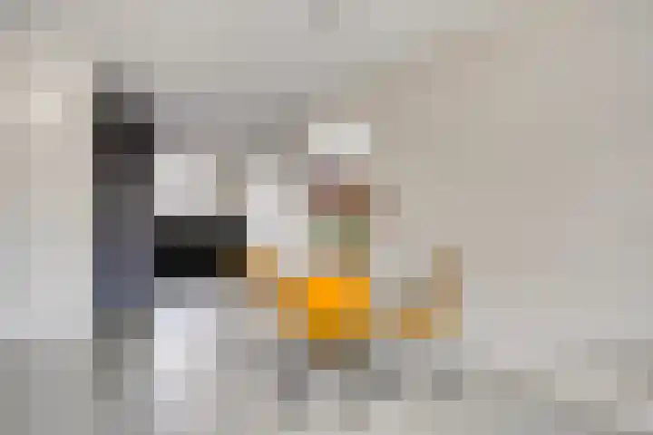 Burgemeester Houbenplein 6 Luyksgestel thumbnail 5